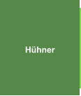 Hühner